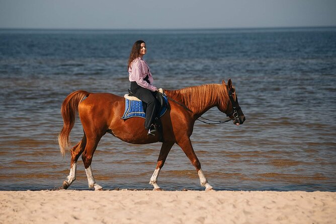 Private Horse Riding on the Beach in Riga - Explore Horseback Riding Along the Baltic Sea in Riga for $159.35