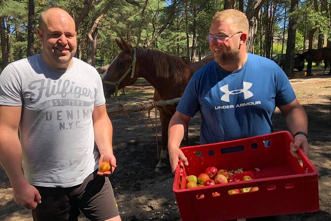 Private Horse Riding on the Beach in Riga - The Latvian Forests and Sand Dunes Experience
