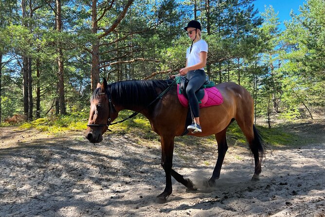 Private Horse Riding on the Beach in Riga - Practical Details: Booking, Timing, and Accessibility