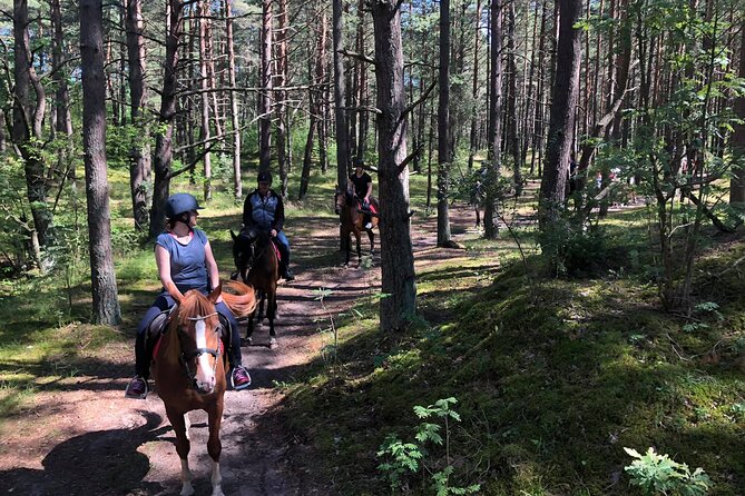 Private Horse Riding on the Beach in Riga - The Experience Provider: Riga With Us