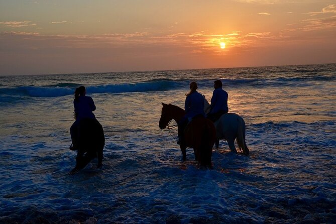 Private Horseback Beach + Bufadora Shore Excursion - Ensenada Horseback & La Bufadora Tour: Who Will Love It?