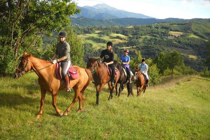Private Horseback Riding Tour in Sicilian Countryside + Tradional lunch - Key Points