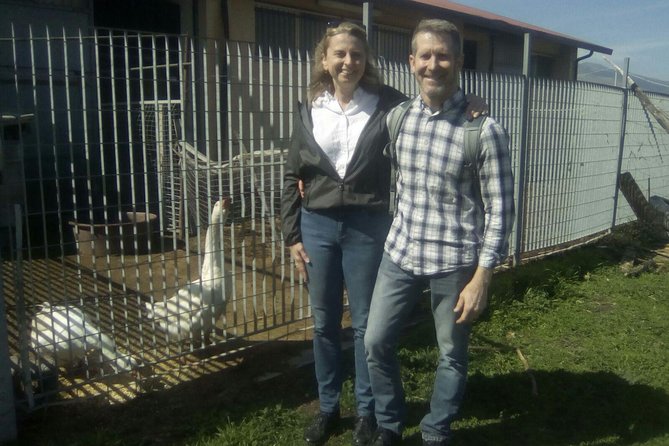 Private Horseback Riding Tour in Sicilian Countryside + Tradional lunch - Suitability and Recommendations