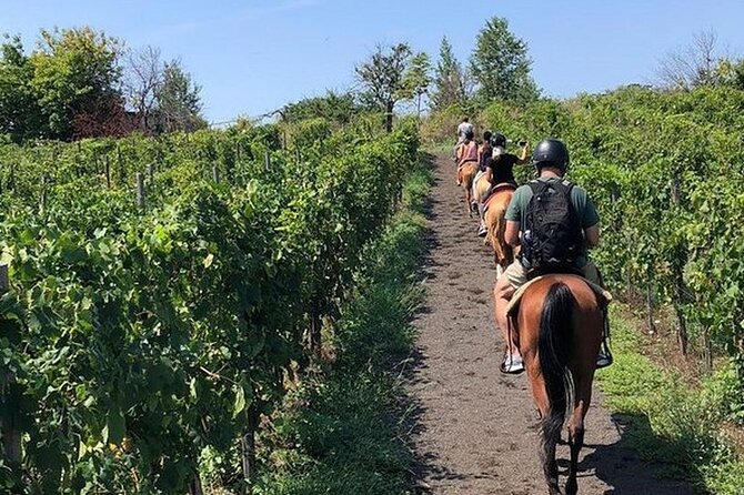 Private Horseback Riding Tour of the Vineyards in Verona with Wine Tasting - Key Points