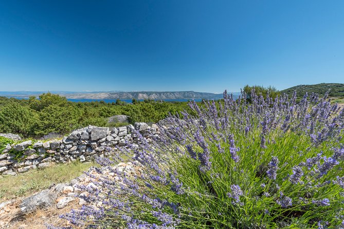 Private Hvar Wine Tasting Tour - The Unique Appeal of This Private Experience