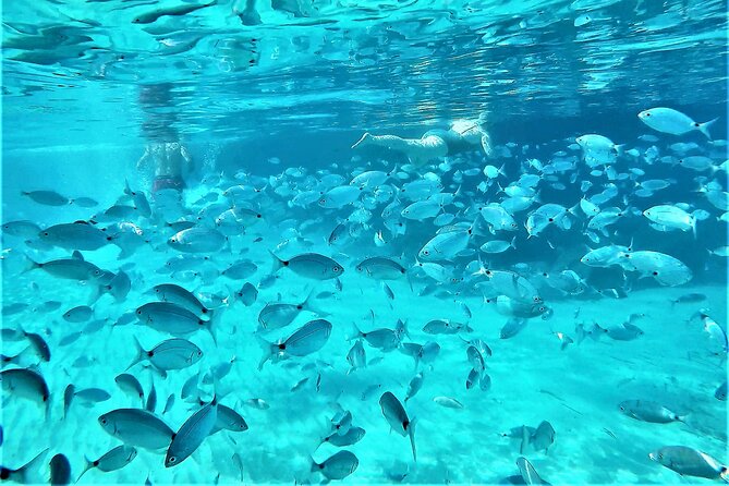 Private Hydro-Jet Snorkeling Beach and Cave Cruise Tour - Sunset Option and Extra Stop for Cava