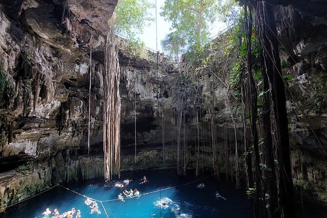 Private Instagram Cenotes Tour with Professional Photography - Key Points