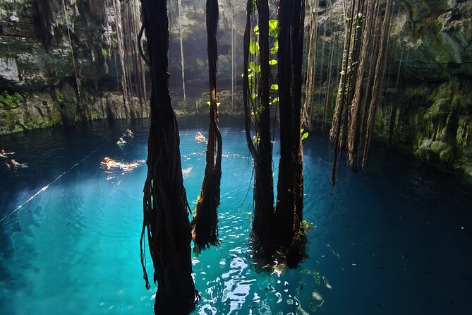 Private Instagram Cenotes Tour with Professional Photography - Inclusive Admission and Photographic Service