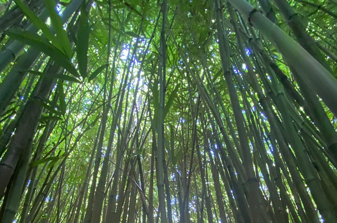 Private Instagram Tour of Maui - The Value of a Private, Customizable Photo Experience