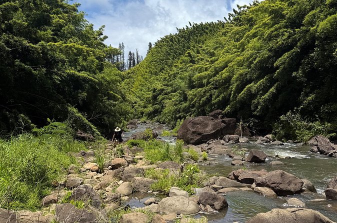 Private Instagram Tour of Maui - Maui’s Best Photo Spots, Made Personal