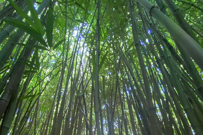 Private Instagram Tour of Maui - Who Will Enjoy This Maui Instagram Tour?