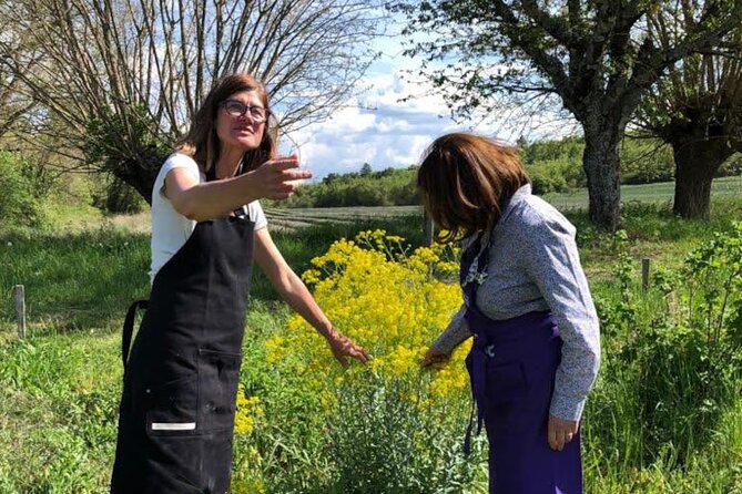 Private Introduction to plant color in Forcalquier in Provence - Creating Unique Colors with Garden-Picked Plants