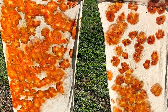 Private Introduction to plant color in Forcalquier in Provence - Learning the Art of Eco-Responsible Dyeing