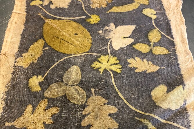 Private Introduction to plant color in Forcalquier in Provence - What’s Included and What to Bring