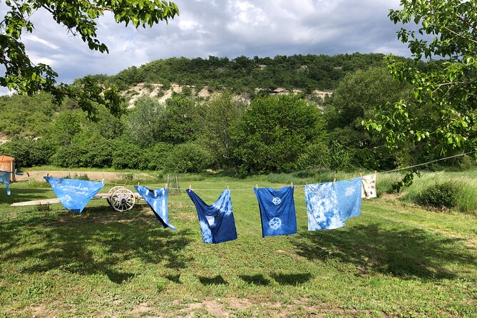 Private Introduction to plant color in Forcalquier in Provence - Booking and Practical Details