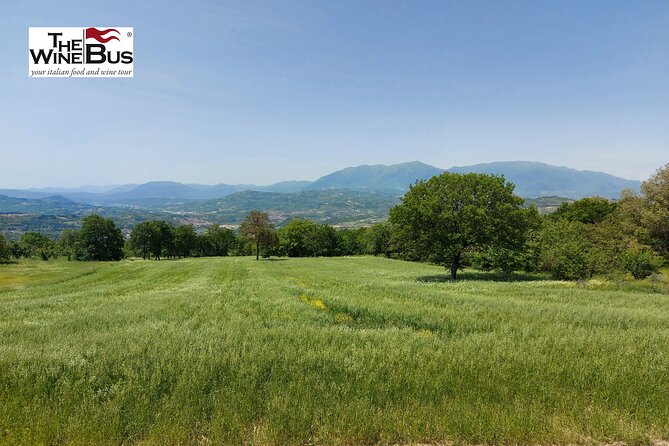 Private Irpinia Gourmet Tour from POSITANO, PRAIANO or AMALFI - Key Points