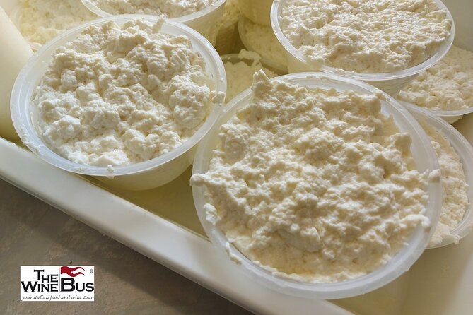 Private Irpinia Gourmet Tour from SORRENTO with sommelier - Meeting Point and Transportation Logistics in Sorrento