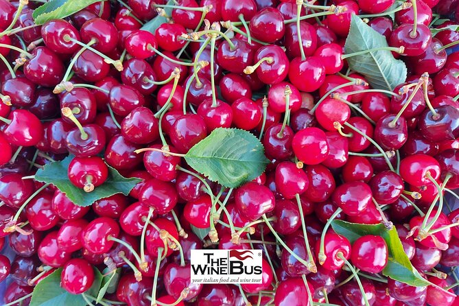 Private Irpinia Gourmet Tour from SORRENTO with sommelier - The Role of the Expert Sommelier Guide