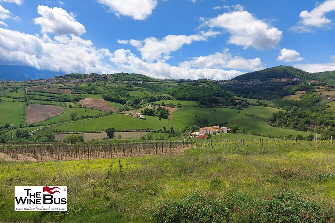 Private Irpinia Wine Tour from POSITANO, AMALFI or RAVELLO - Discover the Private Irpinia Wine Tour from Positano, Amalfi, or Ravello