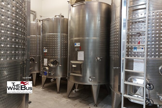 Private Irpinia Wine Tour from Sorrento with sommelier - Wine Tasting and Personalized Tips