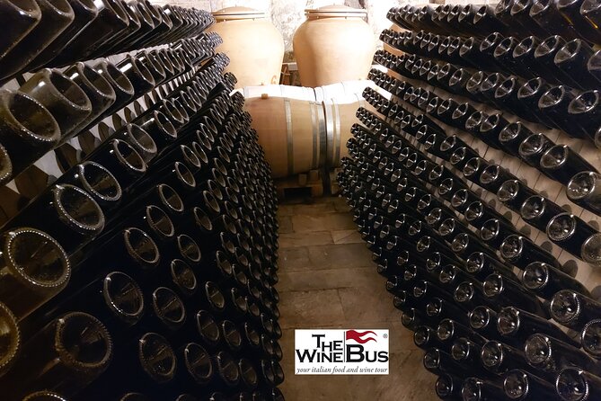 Private Irpinia Wine Tour from Sorrento with sommelier - Vineyard Walks and Production Tours