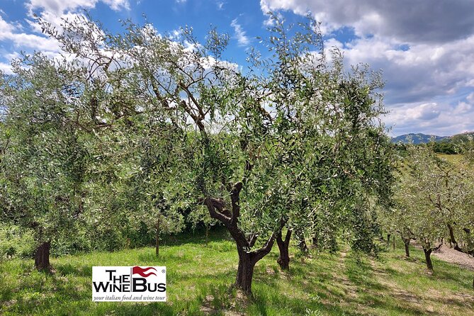 Private Irpinia Wine Tour from Sorrento with sommelier - Flexibility and Additional Options