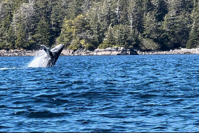 Private Island Experience in Sitka - Departure and Meeting Point at Harrigan Centennial Hall