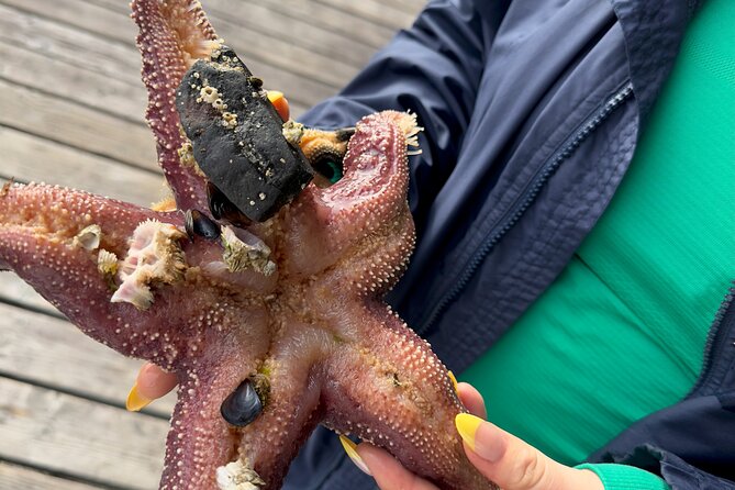 Private Island Experience in Sitka - The Experience: A Perfect Choice for Privacy and Nature Enthusiasts