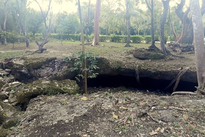 Private Island Tour at Rhythm Cozumel Groups 1 to 6 Passengers - What’s Included and What’s Not