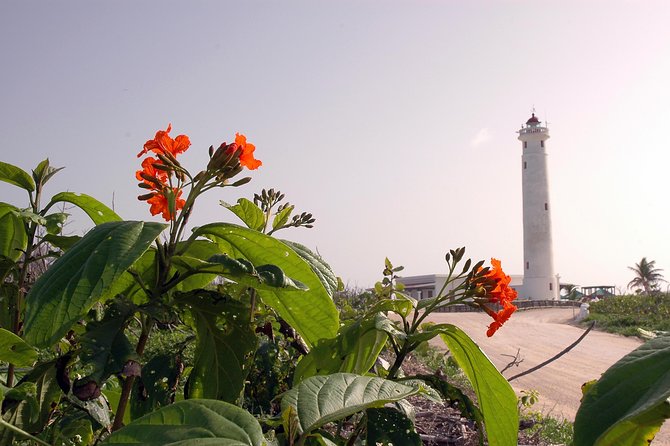 Private Island Tour at Your Leisure - Exploring Cozumel’s East Coast and Hidden Beaches