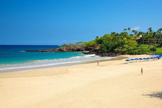 Private Island Tour in Hawaii with Pickup Included - Sampling Coffee at Kau Coffee Mill