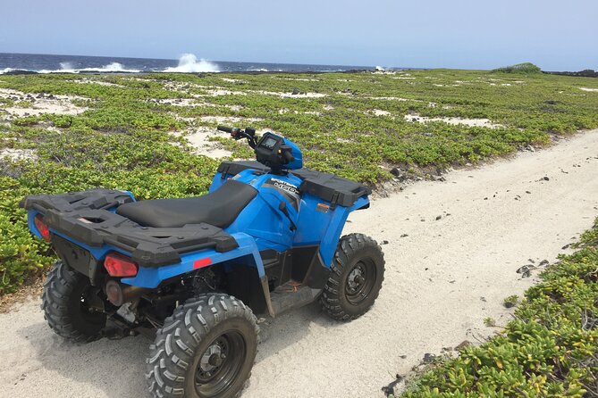 Private Island Tour in Hawaii with Pickup Included - Indulge at Punaluu Bake Shop