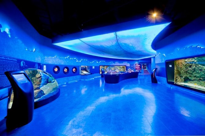 Private Istanbul full day daily or shopping tour - Discover the Historic Heart at Sultanahmet and the Hippodrome