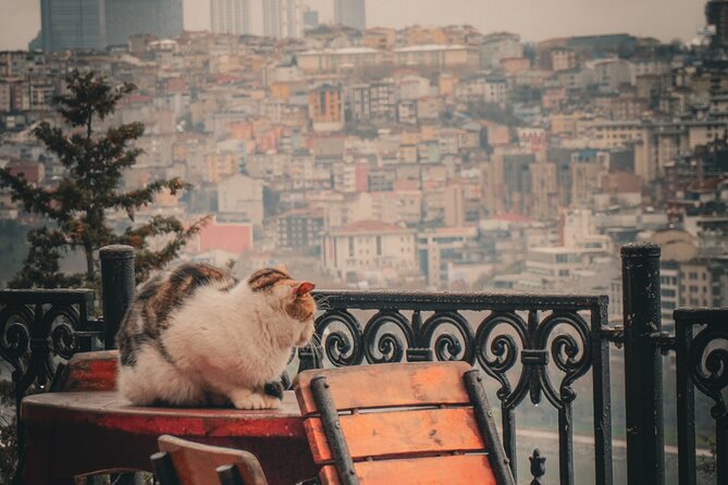 Private Istanbul Highlights Tour: 1, 2, or 3-Day Options - Starting Point: Centralized Hotel Pickup in Istanbul