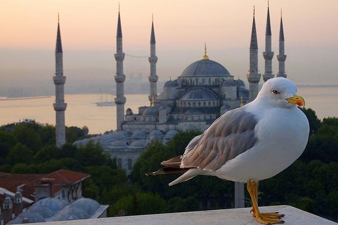 Private Istanbul Layover Tour From Airport - Exploring Sultanahmet District: The Heart of Historic Istanbul