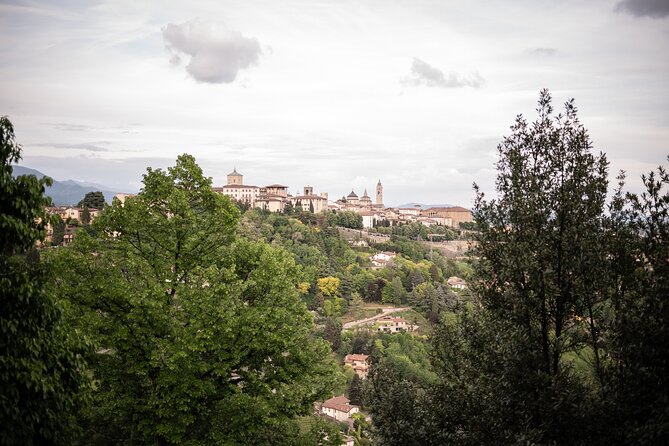 Private Italian lessons in Bergamo - Shopping and Supermarket Language Lessons