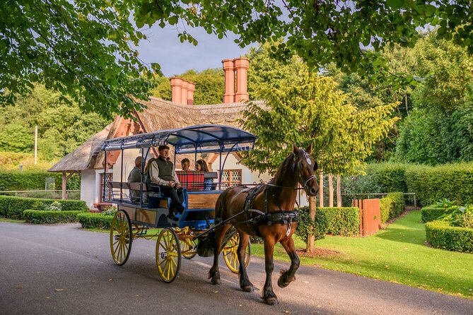 Private Jaunting Tour and Afternoon Tea in Killarney - The Guide and Horses: Molly, Maggie, and Calem