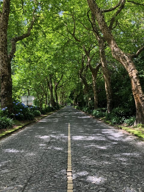 Private Jeep 4x4 Tour - Relax in the Hot Springs of Caldeira Velha