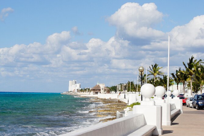 Private Jeep and 4x4 Polaris RZR Tour with Mexican Lunch - Off-Road Adventure at Sabores de Cozumel Park