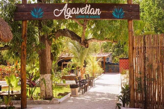 Private Jeep and 4x4 Polaris RZR Tour with Mexican Lunch - Physical Requirements and Accessibility