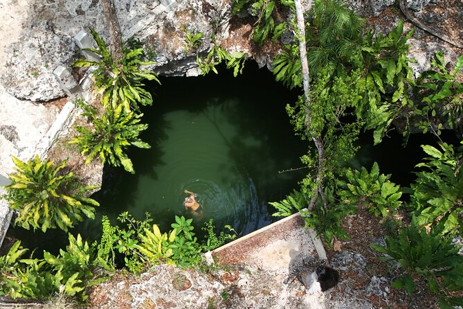 Private Jeep Cenotes Expedition in Cozumel - Explore Cozumel’s Sacred Cenotes and Cultural Highlights for $99