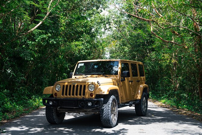 Private Jeep Cenotes Expedition in Cozumel - Visiting the Cenote Aerolito de Paraiso