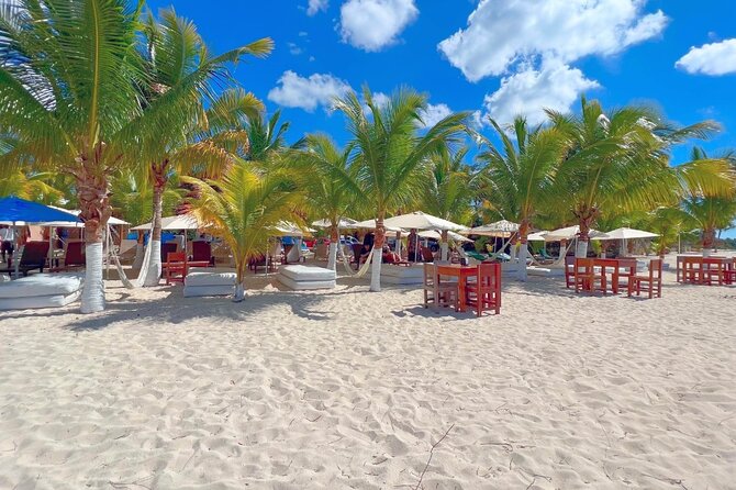 Private Jeep or Buggy Tour Snorkeling Maya Park and Tacos - Seaside Lunch at Playa Publica San Martin