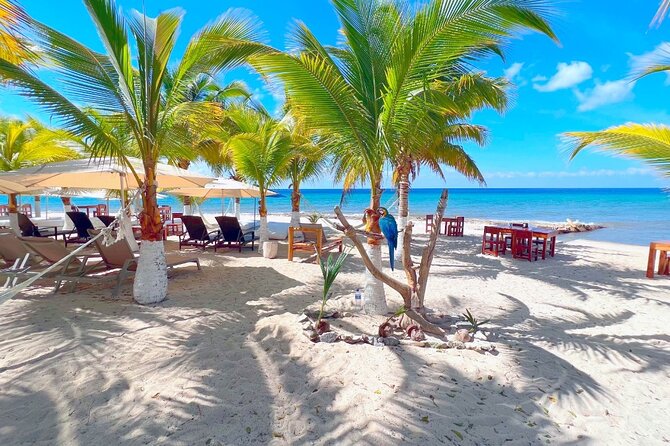 Private Jeep or Buggy Tour Snorkeling Maya Park and Tacos - Flexibility and Booking Details