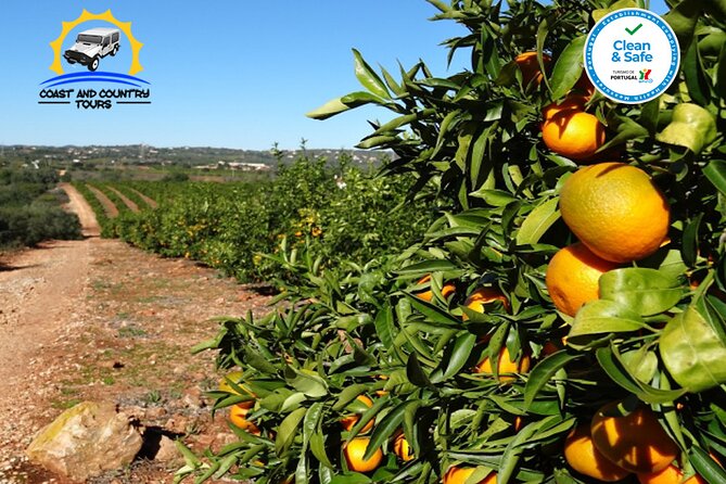 Private Jeep Safari Half-Day Tour - Tasting Local Products and Authentic Flavors