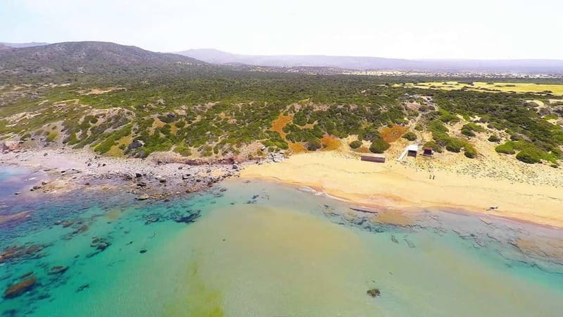 Private Jeep Safari Turtle Adventure & Adonis Waterfalls - Swimming and Turtles at St. George Bay