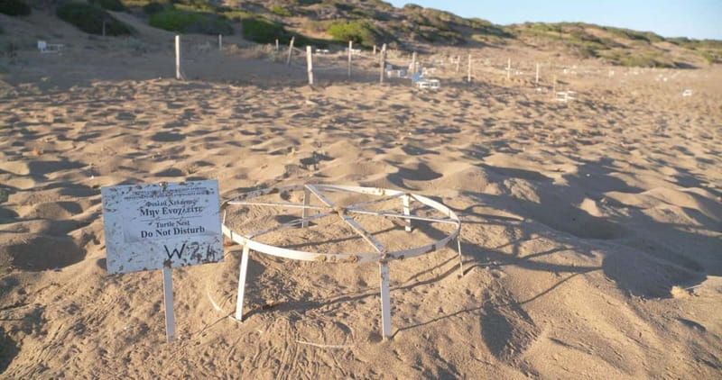 Private Jeep Safari Turtle Adventure & Adonis Waterfalls - What’s Included and What’s Not