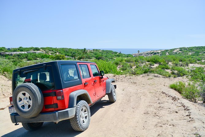 Private Jeep Tour Cabo Pulmo - Authentic Mexican Lunch in Miraflores