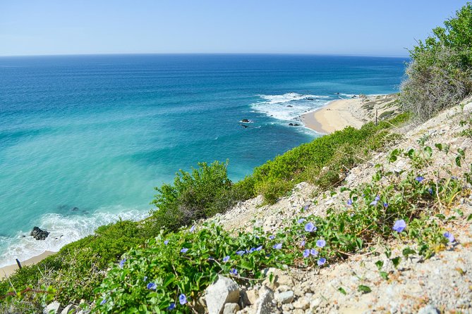 Private Jeep Tour Cabo Pulmo - What Sets This Tour Apart