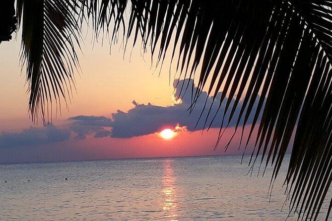 Private Jeep Tour in Cozumel - Chen Rio Beach: Wild Coast Relaxation